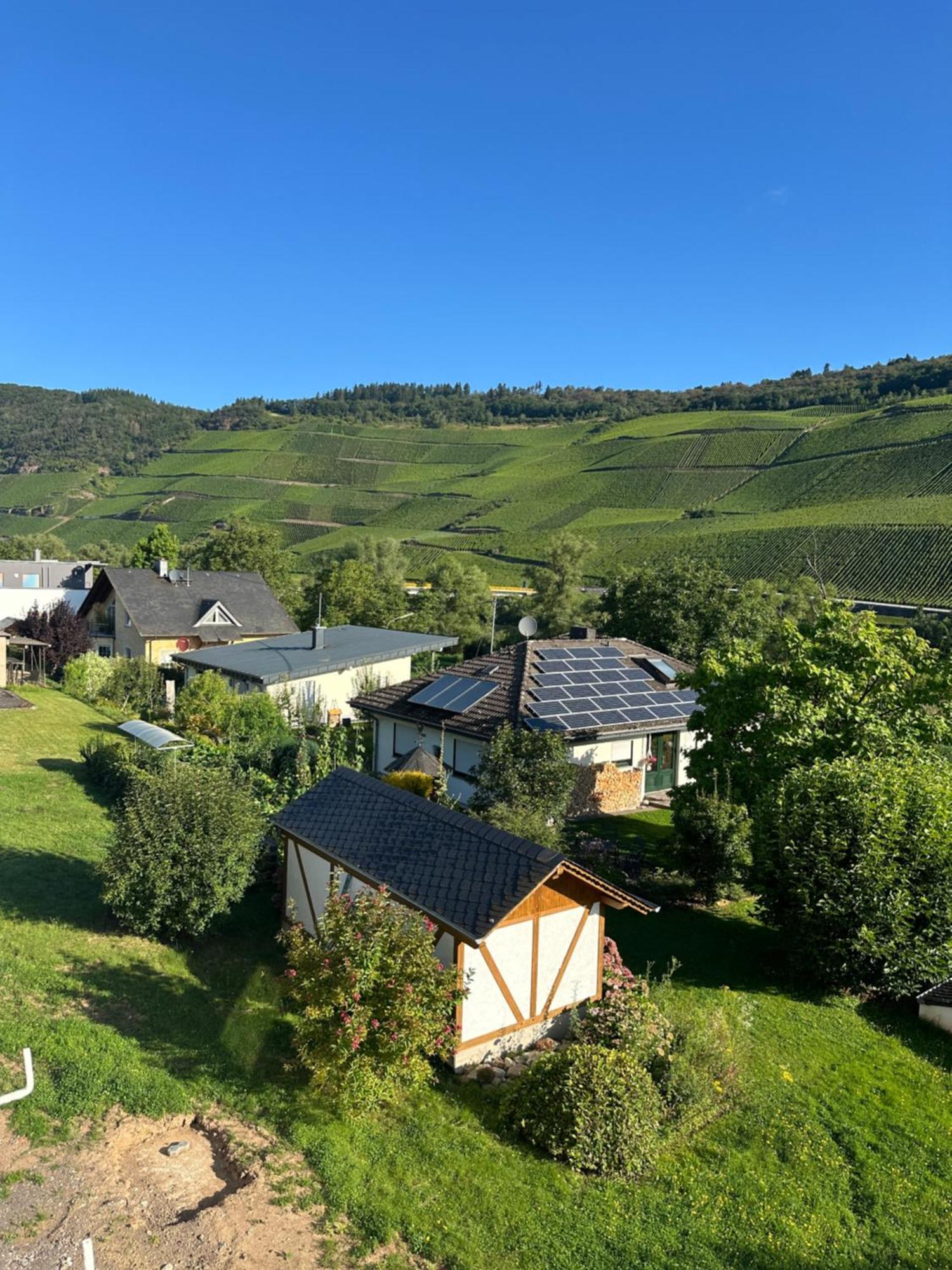 Moselappartements By Weingut Marco Adamy Losnich Bagian luar foto