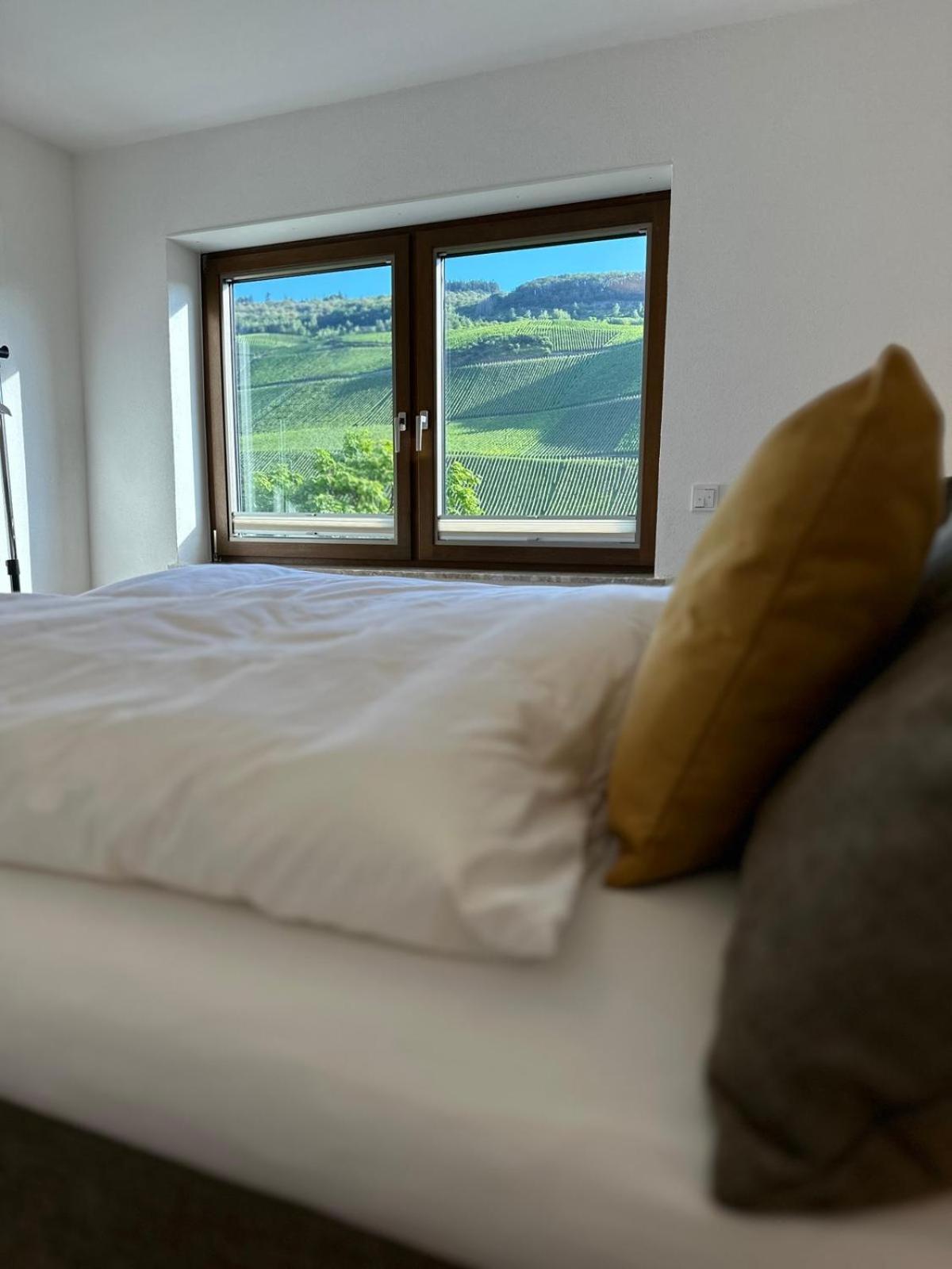 Moselappartements By Weingut Marco Adamy Losnich Bagian luar foto