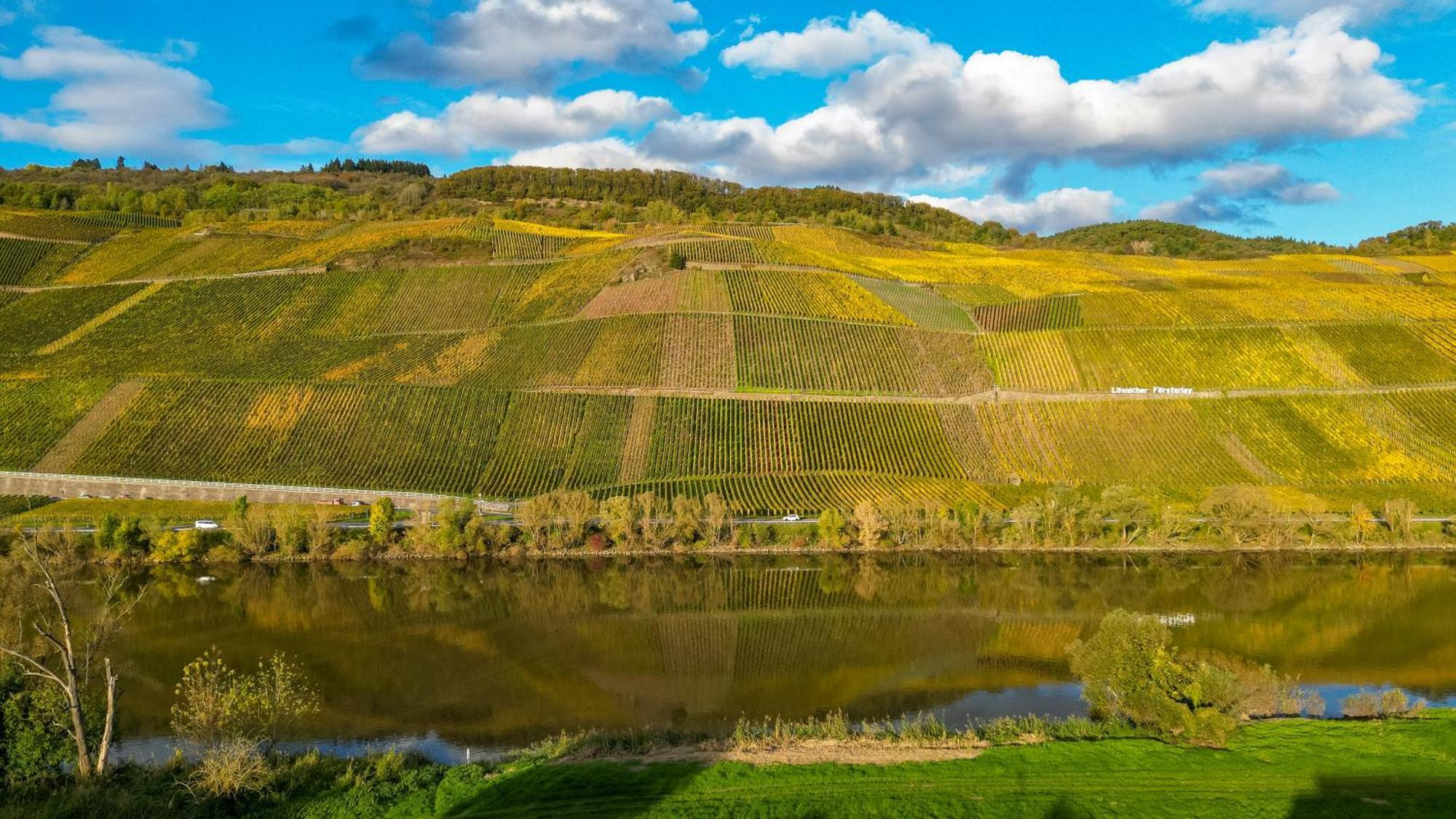 Moselappartements By Weingut Marco Adamy Losnich Bagian luar foto