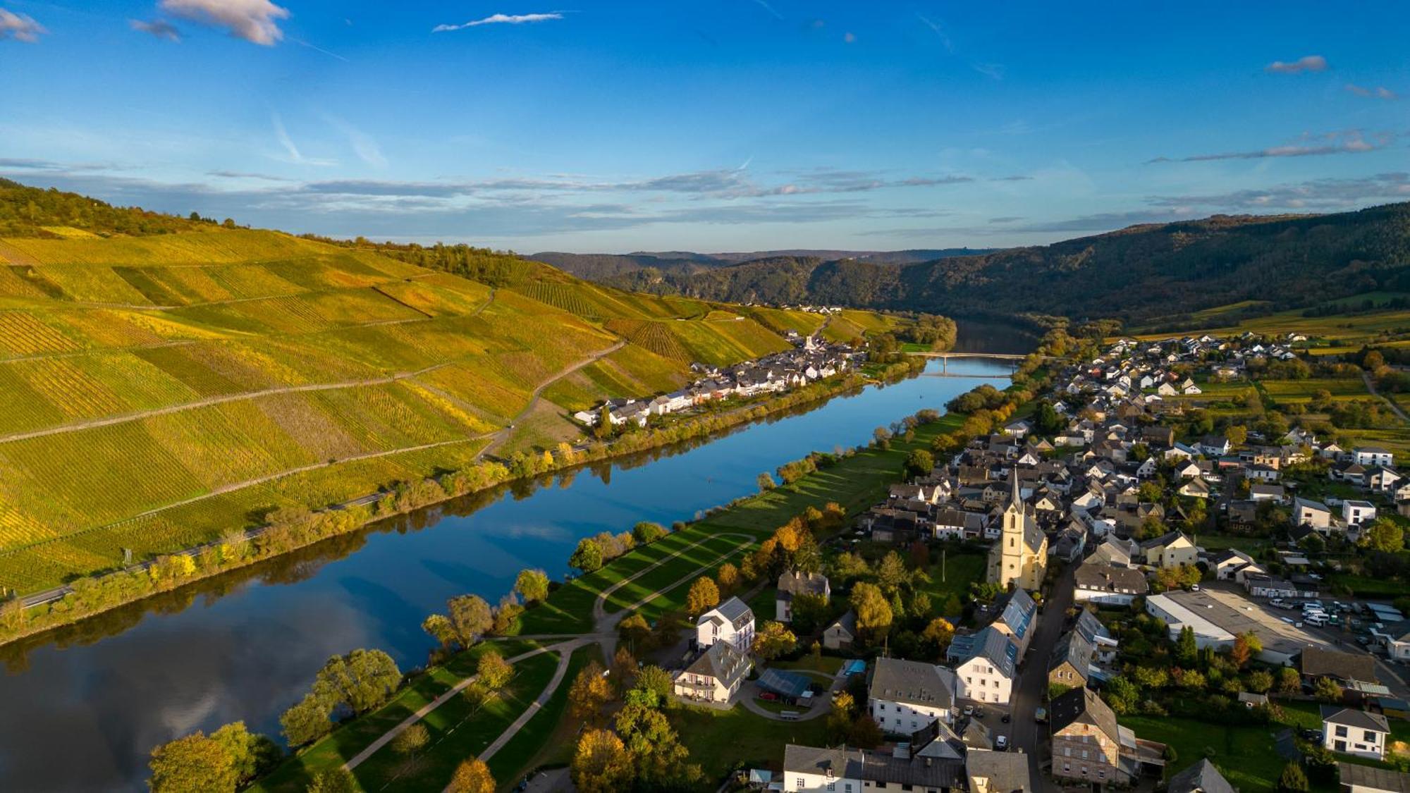 Moselappartements By Weingut Marco Adamy Losnich Bagian luar foto