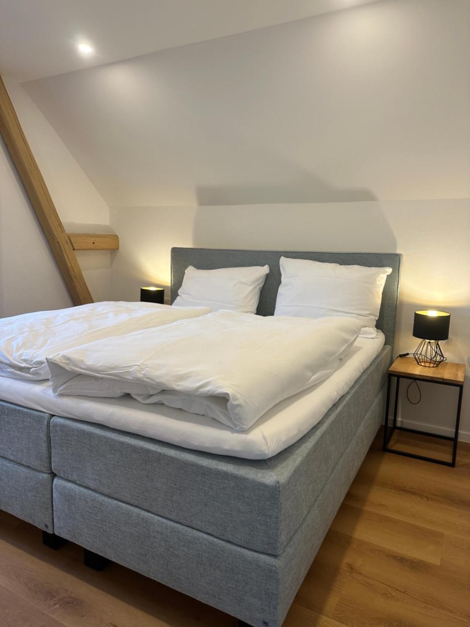 Moselappartements By Weingut Marco Adamy Losnich Bagian luar foto