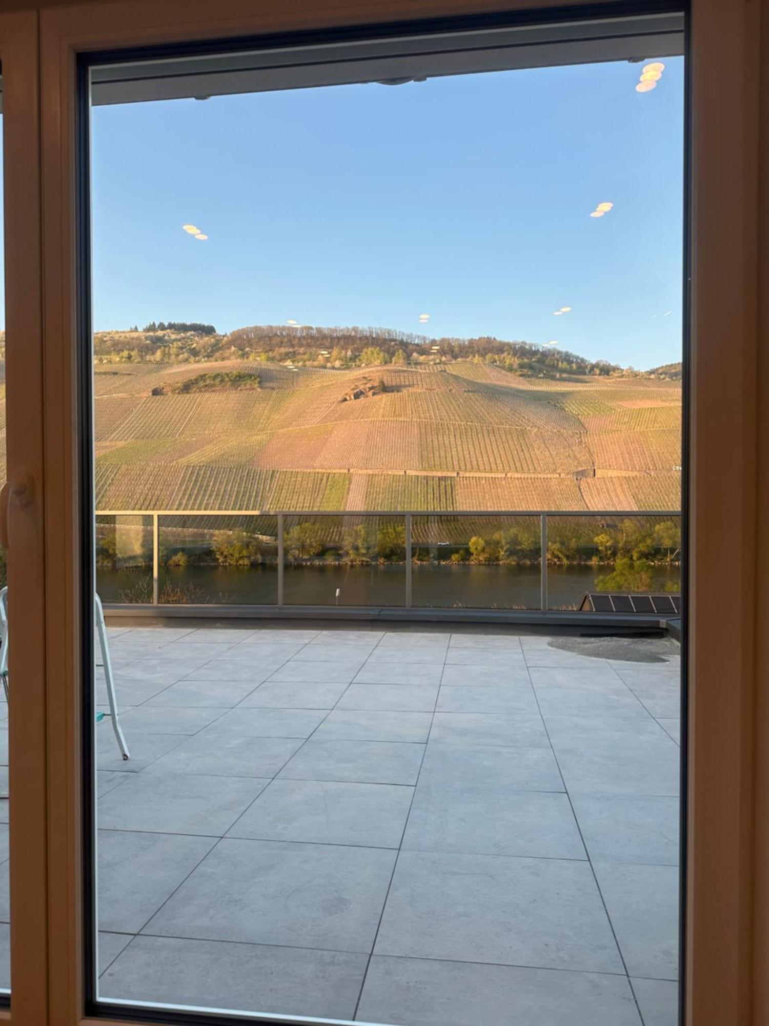 Moselappartements By Weingut Marco Adamy Losnich Bagian luar foto