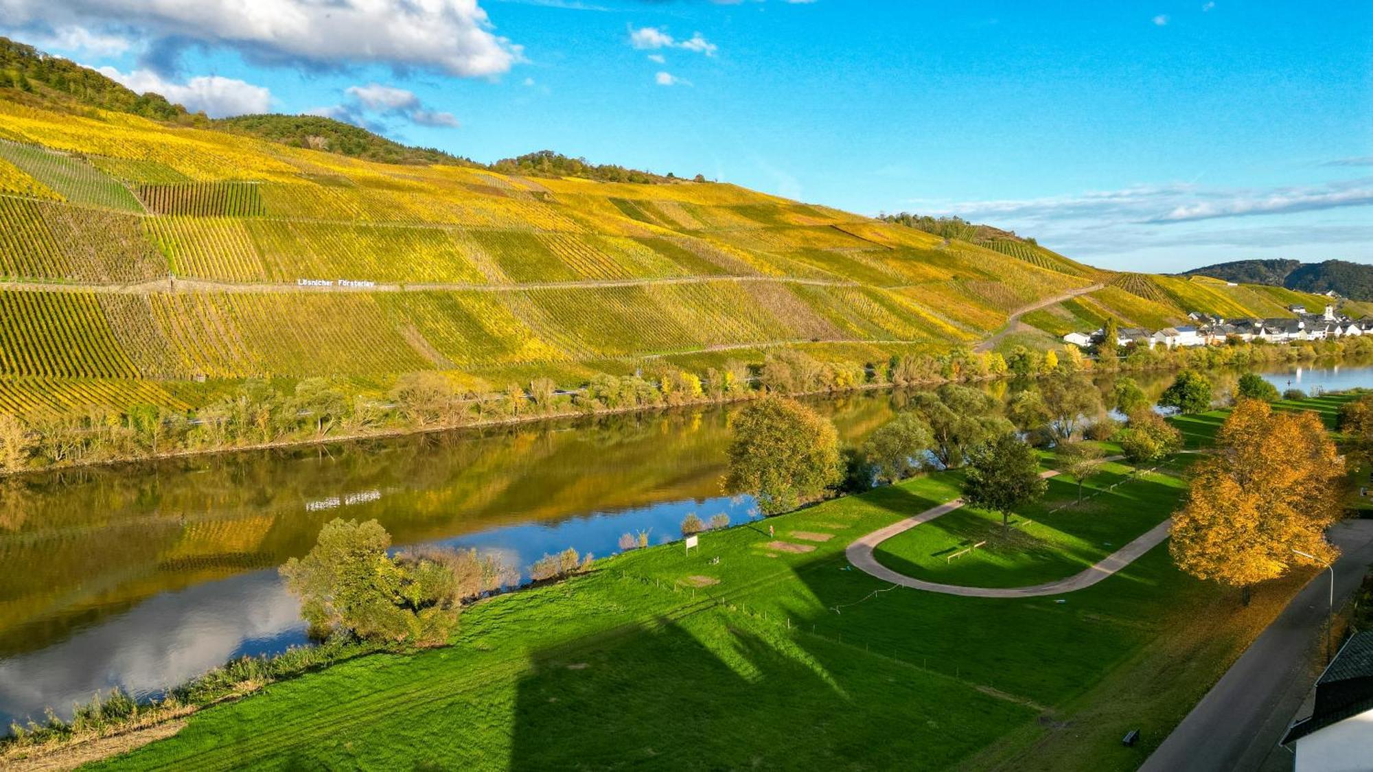 Moselappartements By Weingut Marco Adamy Losnich Bagian luar foto